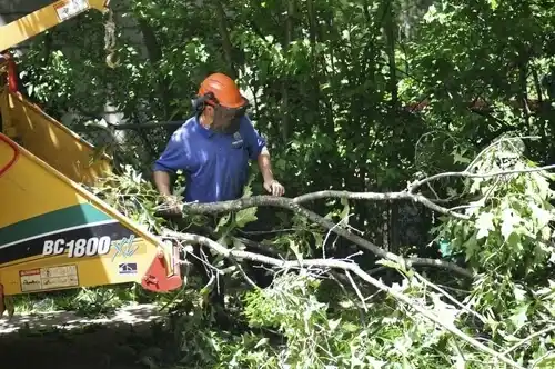 tree services Plandome Manor
